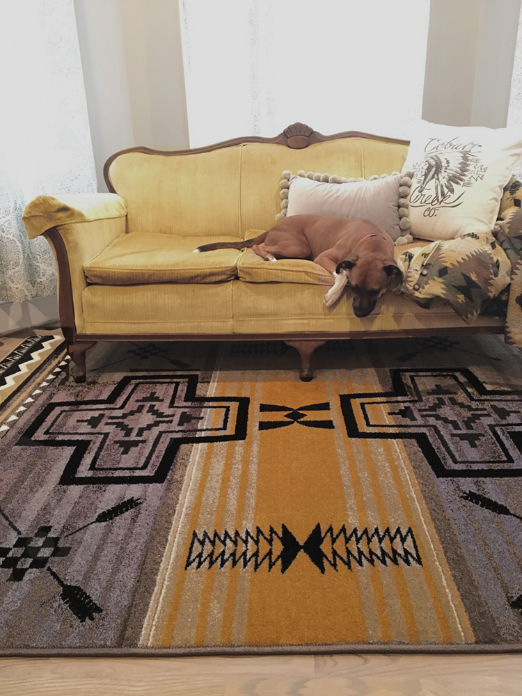Where in The Western New York Area Can You Get Good Deals on 5 X 7 Area Rugs